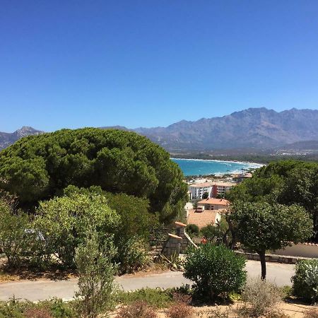 Appartement Calvi Καλβί Εξωτερικό φωτογραφία