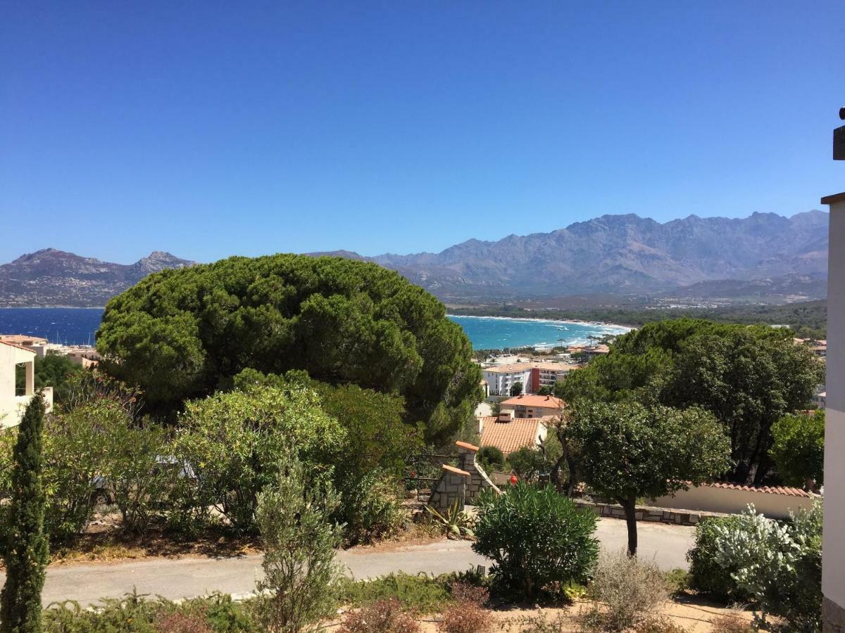 Appartement Calvi Καλβί Εξωτερικό φωτογραφία